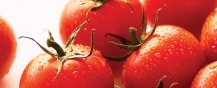 Колориметрические шкалы: Пусть качество ваших томатов соответствует требованиям